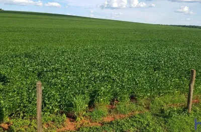 Fazenda com 330 alqueires paulistas de dupla aptidão em costa rica-ms