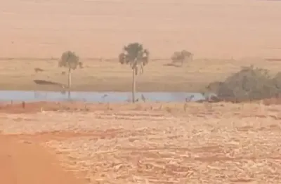 Fazenda de dupla aptidão com 67 alqueires em santa vitória-mg