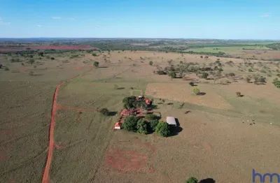 Fazenda de múltiplas aptidões com 53 alqueires à margem do rio grande em são francisco de sales-mg