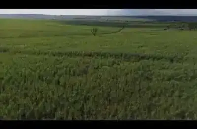 Fazenda com 306 alqueires de dupla aptidão com cana arrendada