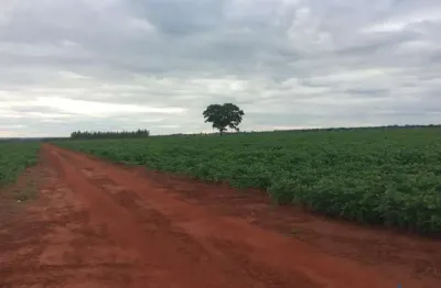 Fazenda de dupla aptidão com 153 alqueires em campina verde-mg