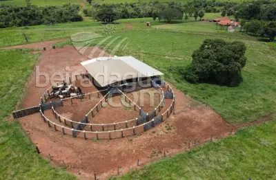 Fazenda com 96 alqueires de dupla aptidão podendo plantar cana em ituiutaba-mg