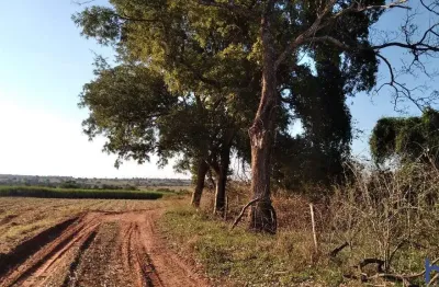 Fazenda com 41 alqueires com cana arrendada em carneirinho-mg