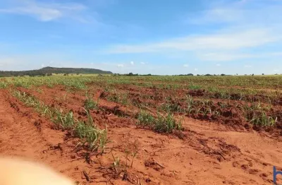 Fazenda com 25 alqueires de dupla aptidão com cana arrendada em ituiutaba-mg