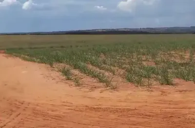 Fazenda com 38 alqueires com cana arrendada em campo florido-mg