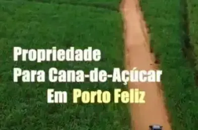 Fazenda com 160 alqueires em plantio de cana arrendada em porto feliz-sp