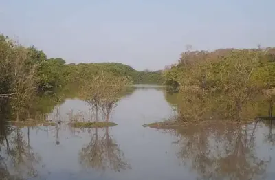 Fazenda de dupla aptidão com 130 alqueires em jussara-go