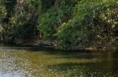 Fazenda à venda na Estrada Vicinal Municipal De Colinas Do Sul, s/nº, Zona Rural, Colinas do Sul