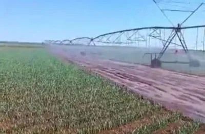 Fazenda com 310 alqueires com agricultura irrigada em luziânia-go