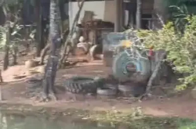 Fazenda para agricultura com 38 alqueires ao lado de campo alegre de goiás-go