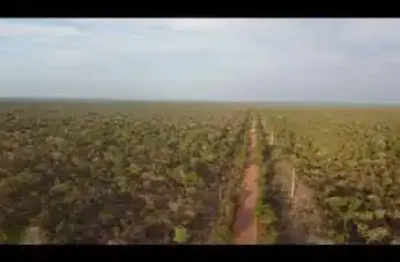 Fazenda bruta com 810 alqueires de dupla aptidão em urbano santos-ma