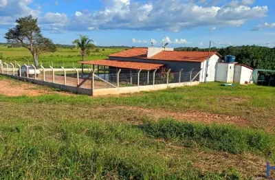 Fazenda com 240 alqueires de dupla aptidão em são raimundo das mangabeiras-mg