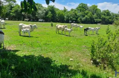 Fazenda à venda na Estrada Vicinal Municipal De Gurinhatã, Km 6,8, Zona Rural, Gurinhatã