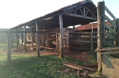 Fazenda de dupla aptidão com 125 alqueires em campina verde-mg