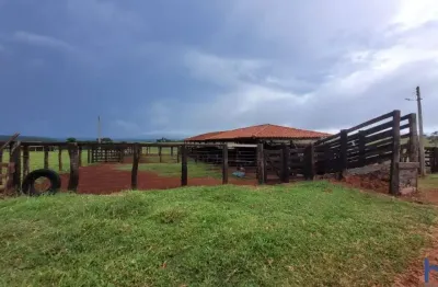 Fazenda de dupla aptidão com 117 alqueires em campina verde-mg