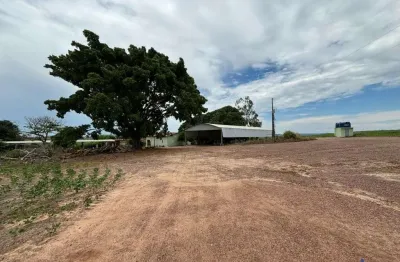 Fazenda com 150 alqueires de dupla aptidão em corumbaíba-go