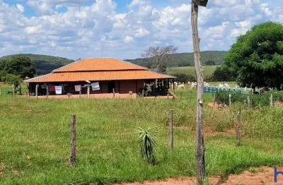 Fazenda com 133 alqueires de dupla aptidão em campina verde-mg