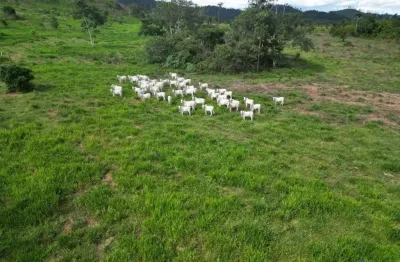 Fazenda de dupla aptidão montada para pecuária com380 alqueires em são félix do xingu-pa
