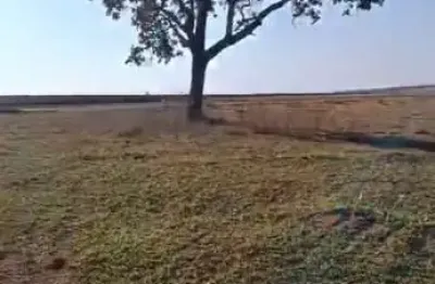 Fazenda à venda na Estrada Vicinal Municipal De Prata, Km 28, Zona Rural, Prata