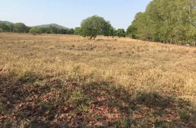 Fazenda à venda na Estraca Vicinal Municipal De Mozarlândia, Km 15, Zona Rural, Mozarlândia