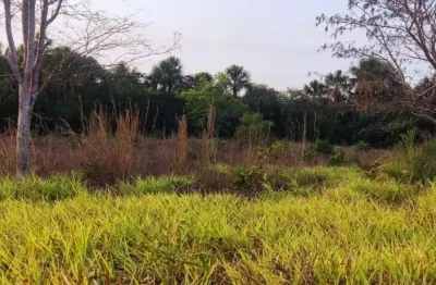 Fazenda de dupla aptidão com 122 alqueires no vale do araguaia em pium-to