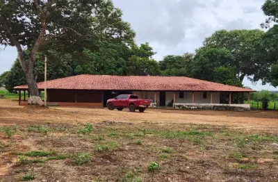 Fazenda com 466 alqueires de dupla aptidão em lagoa do tocantins-to