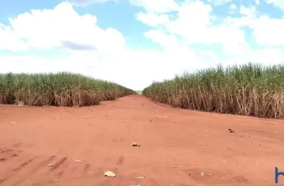 Fazenda com 141 alqueires com cana arrendada em são francisco de sales