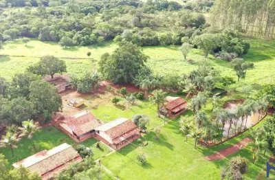 Fazenda com 165 alqueires dupla aptidão bem localizada em padre bernardo-go