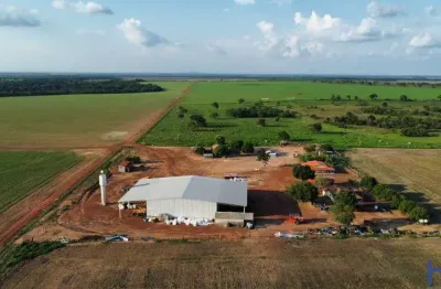Fazenda com 500 alqueires dupla aptidão margem rio tocantins em peixe-to