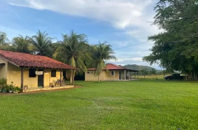 Fazenda com 382 alqueires para pecuária no município de vila rica - mt