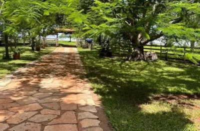 Fazenda de dupla aptidão com 257 alqueires em cocalzinho de goiás-go