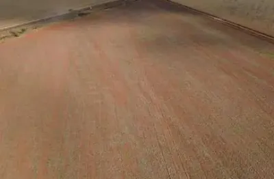 Fazenda à venda na Área Rural, S/Nº, Área Rural de Planaltina, Planaltina