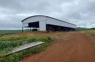 Fazenda com 310 alqueires de dupla aptidão em água fria de goiás-go