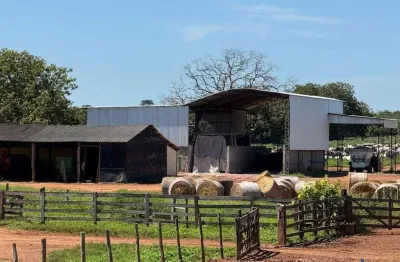 Fazenda com 510 alqueires de dupla aptidão em são joão da aliança-go