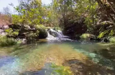 Área própria para reservas legais dentro da chapada dos veadeiros em goiás