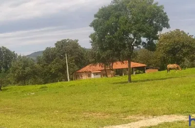 Fazenda à venda na Estrada Vicinal Municipal De Paranã, KM 18, Zona Rural, Paranã