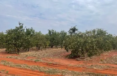 Fazenda com 45 alqueires em cultivo de laranja irrigada em campina verde-mg
