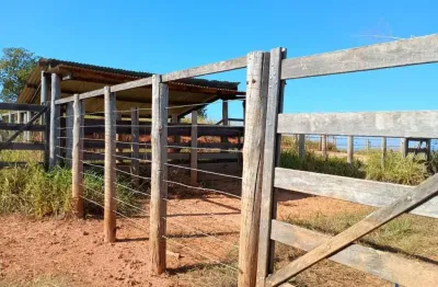 Fazenda com 58 alqueires paulistas de dupla aptidão em bambuí-mg