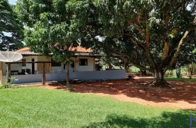 Oportunidade fazenda com 330 alqueires de dupla aptidão com dívidas bancárias em primavera do leste-mt