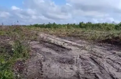 Fazenda com 1.600 alqueires de dupla aptidão em coelho neto-ma