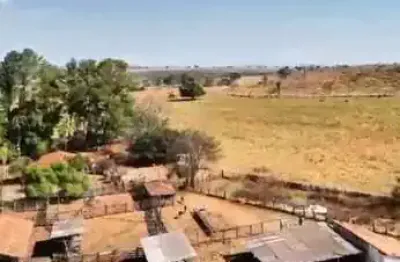 Fazenda com 70 alqueires de dupla aptidão bem próxima de pontalina-go