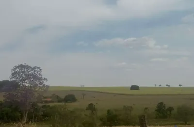 Fazenda com 71 alqueires dupla aptidão com cana arrendada em frutal-mg