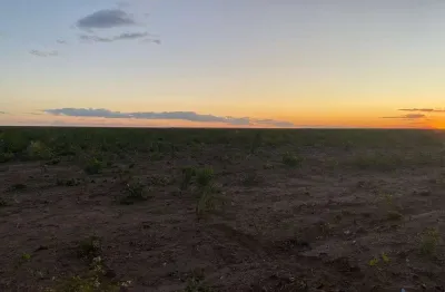 Fazenda de dupla aptidão com 2.900 alqueires situada no município de bom jesus do piauí-pi