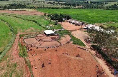 Fazenda de dupla aptidão com 39 alqueires com confinamento em uberlândia-mg