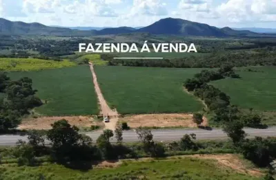 Fazenda de dupla aptidão com 535 alqueires em vila propício-go