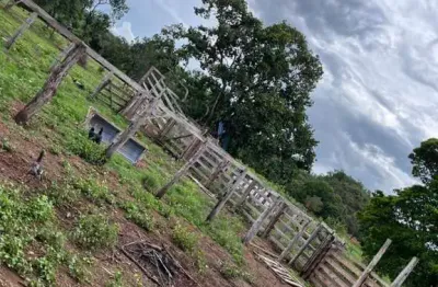 Fazenda para pecuária com 28 alqueires às margens da rodovia em torixoréu-mt
