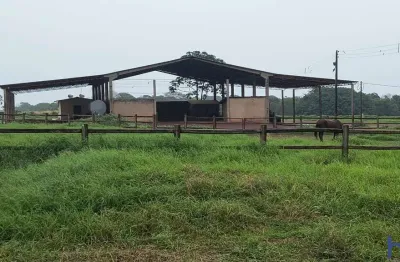 Fazenda para arrendamento agrícola com 1.900 hectares em primavera do leste-mt