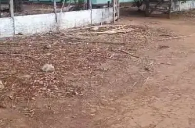 Fazenda à venda na Estrada Vicinal Municipal De Amaralina, Km 4, Zona Rural, Amaralina