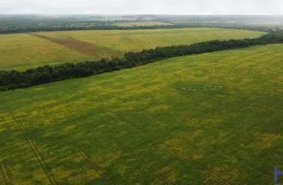 Fazenda com 212 alqueires de dupla aptidão no vale do araguaia em abreulândia-to