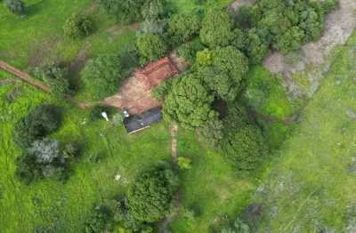 Fazenda à venda na Estrada Vicinal Municipal De Alvorada, Km 3, Zona Rural, Alvorada